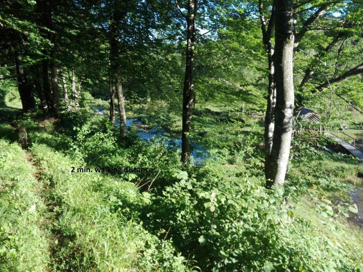 House By The River Plitvica selo Zewnętrze zdjęcie